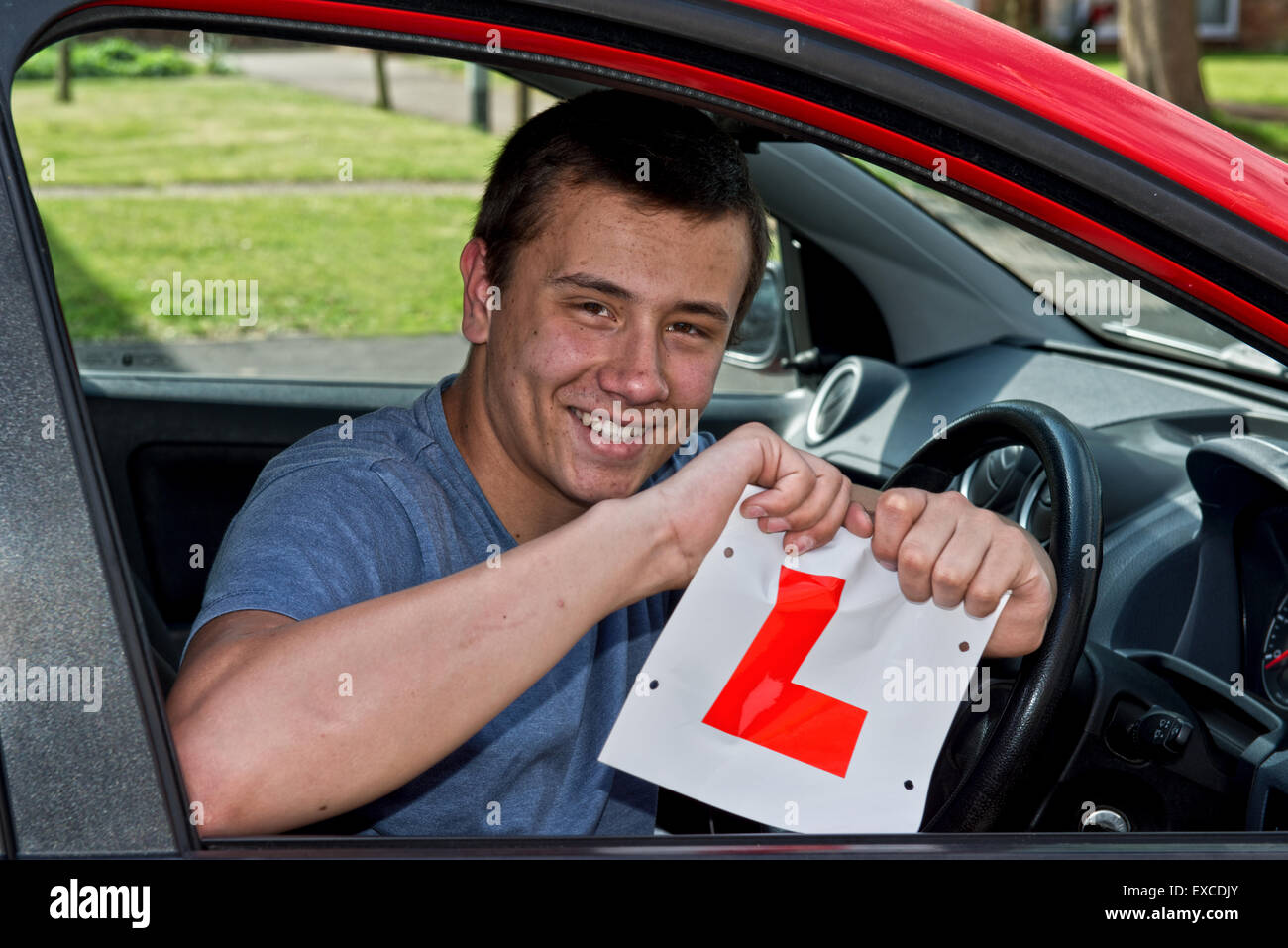 Model released image of a young man who has just passed his driving test and so happy with the result he rips up his L plates Stock Photo