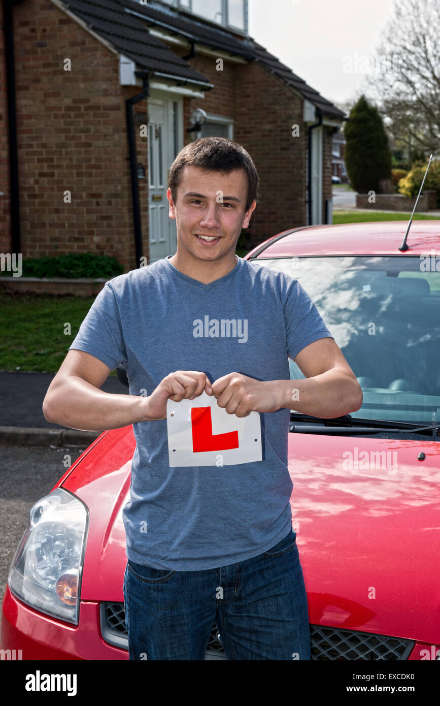 Model released image of a young man who has just passed his driving test and so happy with the result he rips up his L plates Stock Photo