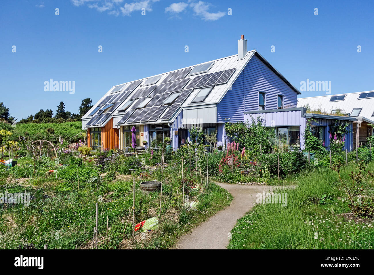 Housing in East Whins Co-housing Cluster in Findhorn Eco Village conservation area Moray Scotland Stock Photo