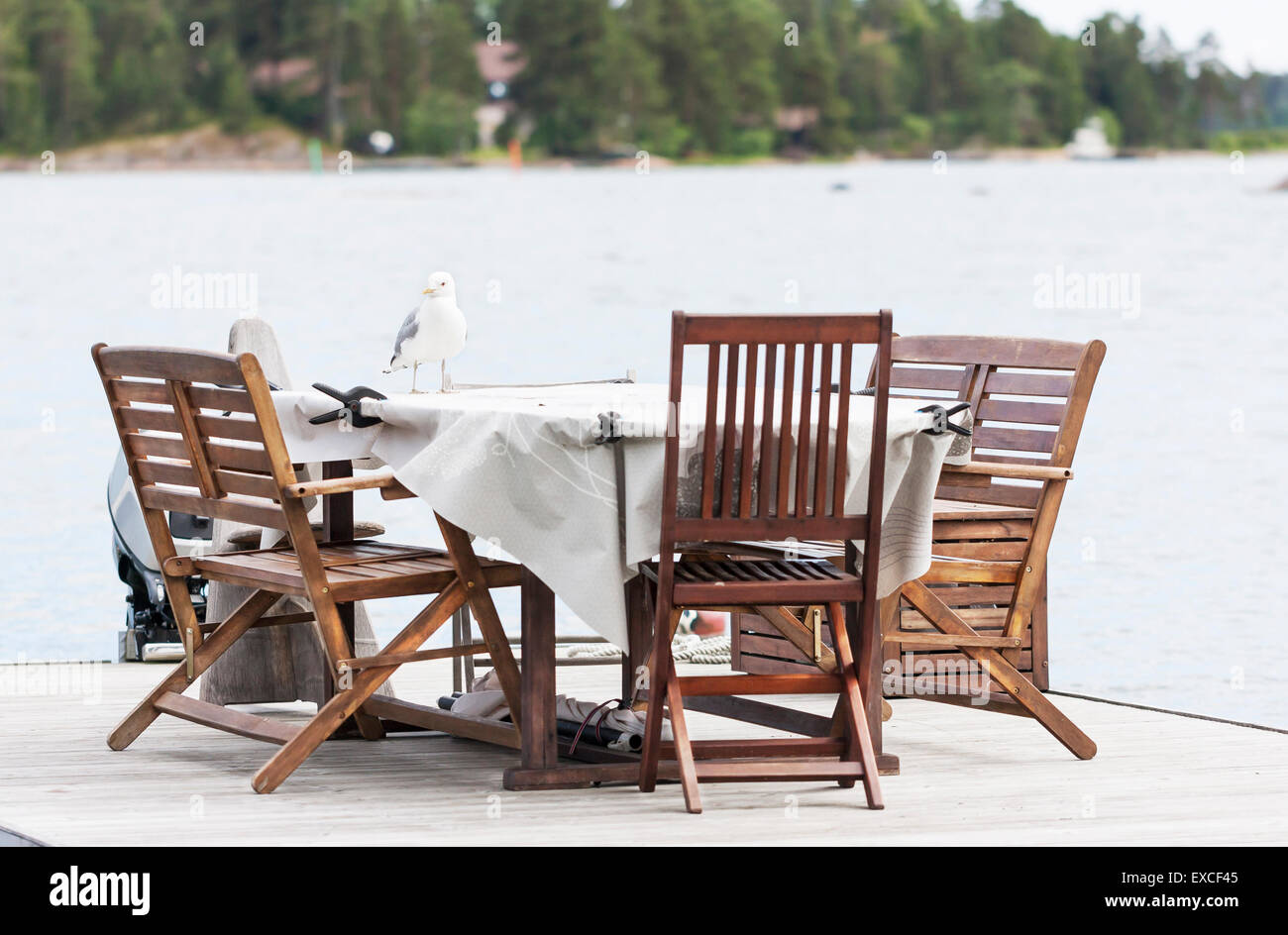Big white seagull or mew stand on a garden table which is placed on a floating base. Stock Photo