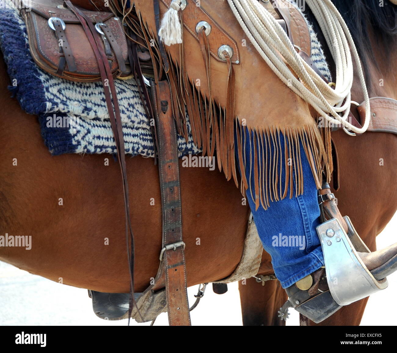 Cowboy riding his horse outdoors. Stock Photo