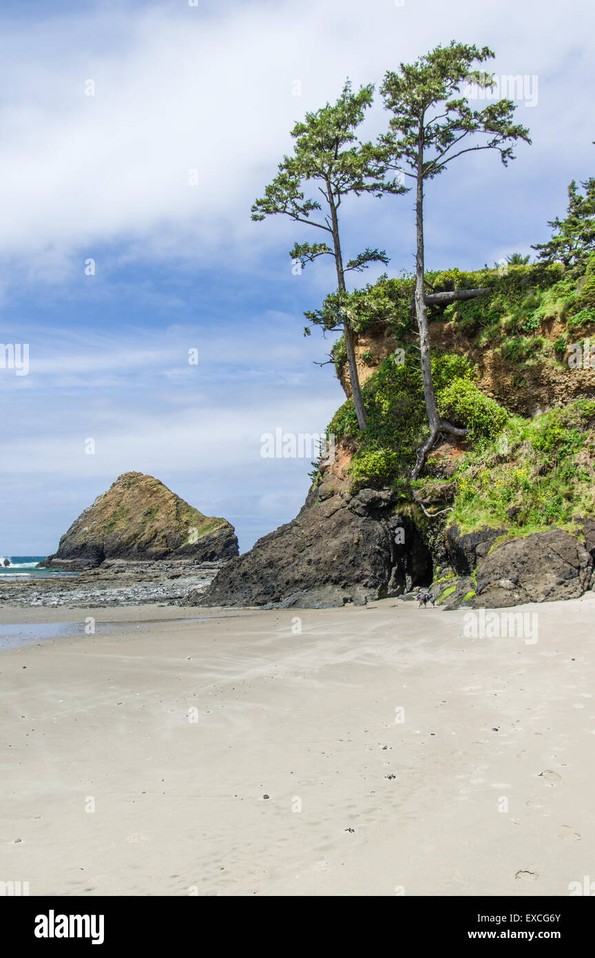 Sandy beach on the Oregon coast with trees and rocky point Stock Photo