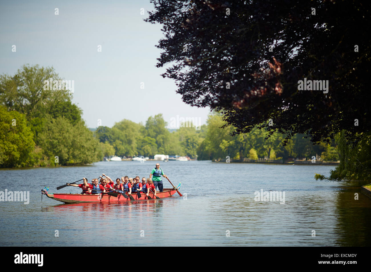 dragon boat on the river thames at Bisham in the English county of Berkshire  A dragon boat is a human-powered watercraft. They Stock Photo