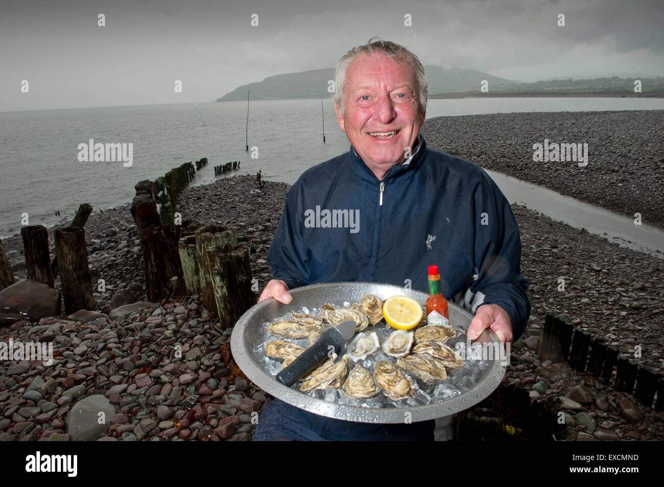 Porlock Bay Oysters which are being bred for the first time in 120 years in Porlock Weir,Somerset,UK.  Alan Wright is one of the owners. Stock Photo