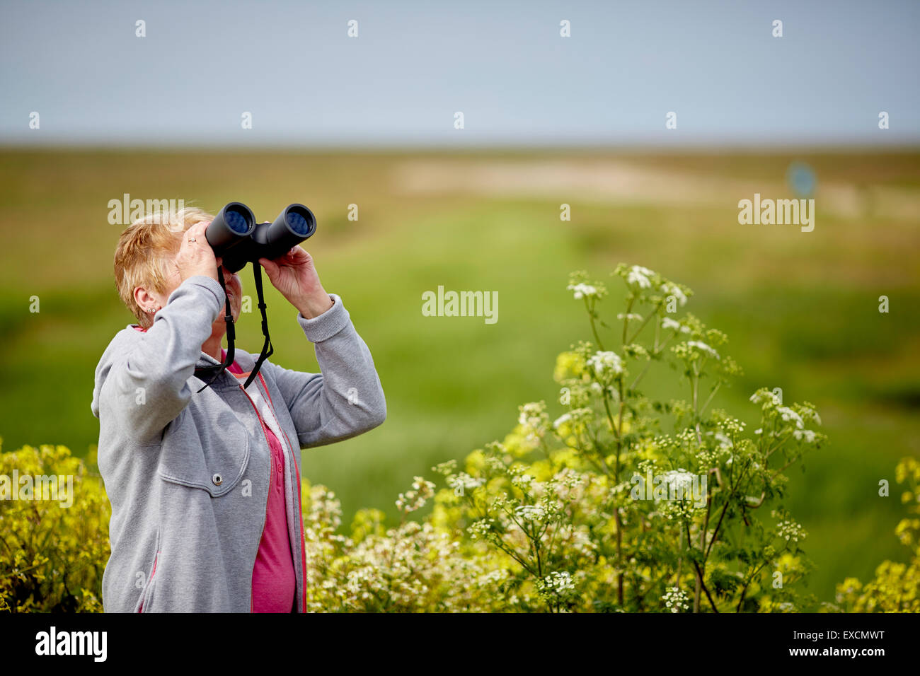 Pictures around Southport  looking at watching through binoculars Lady's ladies female girls hers  woman women she wife Stock Photo