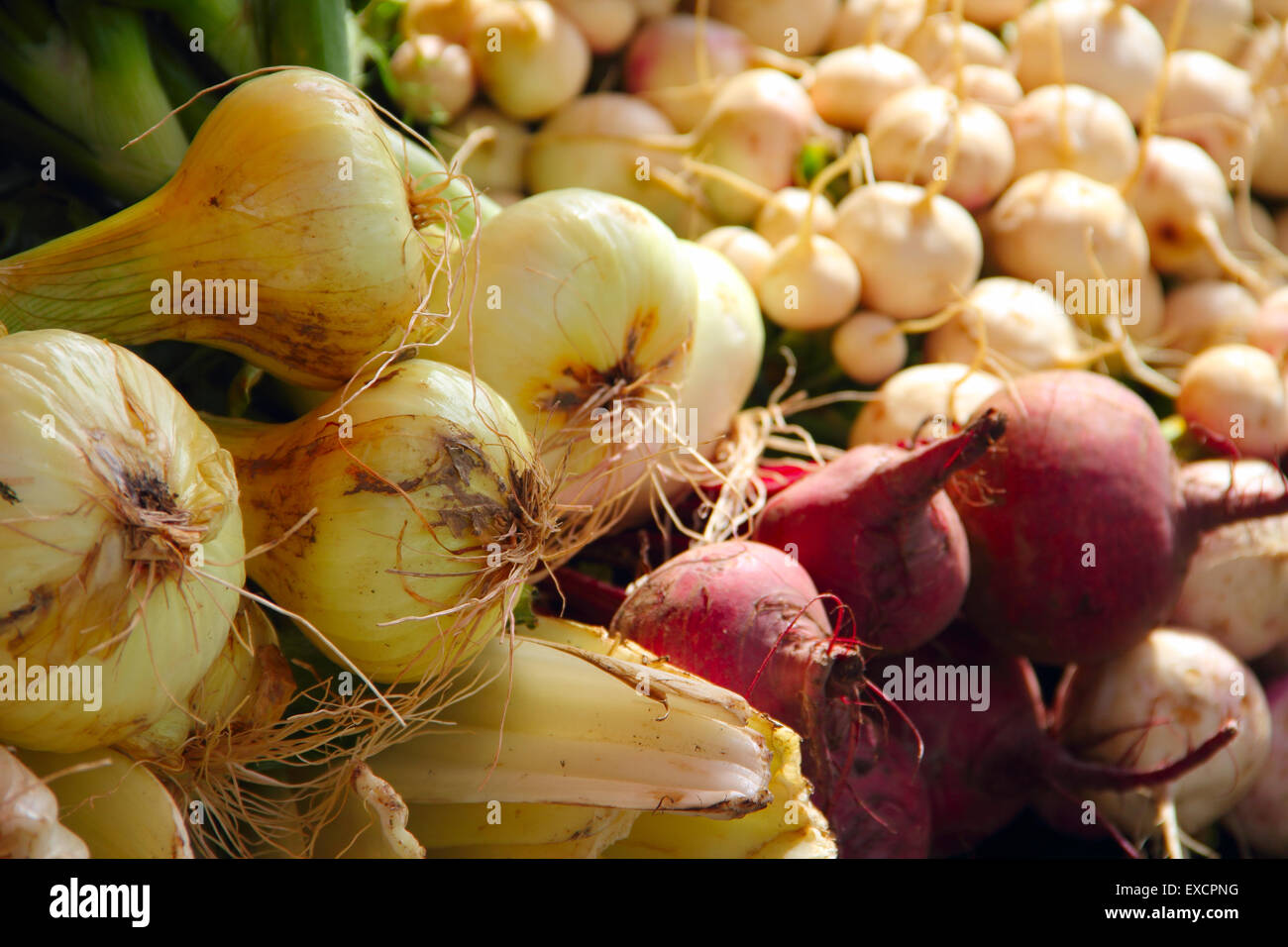 Onion market hires stock photography and images Alamy