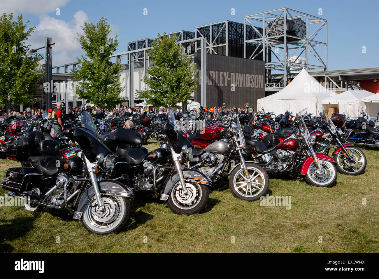 Harley Davidson motorcycles during a Harley rally Stock Photo Alamy