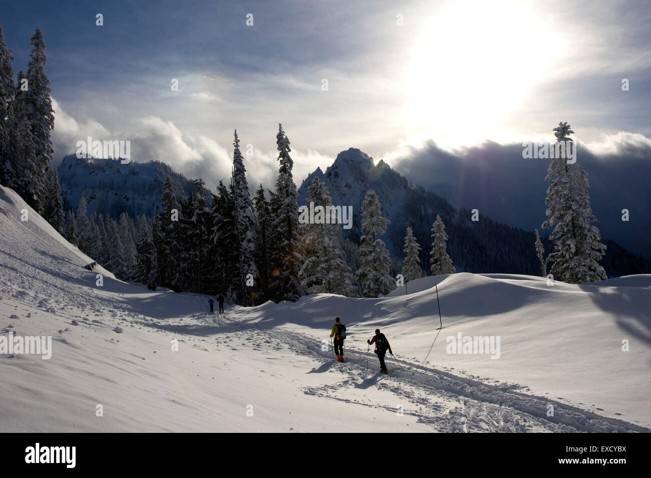 Nordic skier, Mt Rainier National Park, Washington Stock Photo