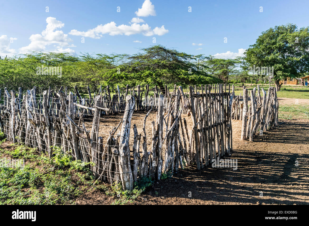 Corral in a Wayuu 'rancheria', or traditional rural settlement.  The Wayuu indigenous of La Guajira, Colombia, are traditional g Stock Photo