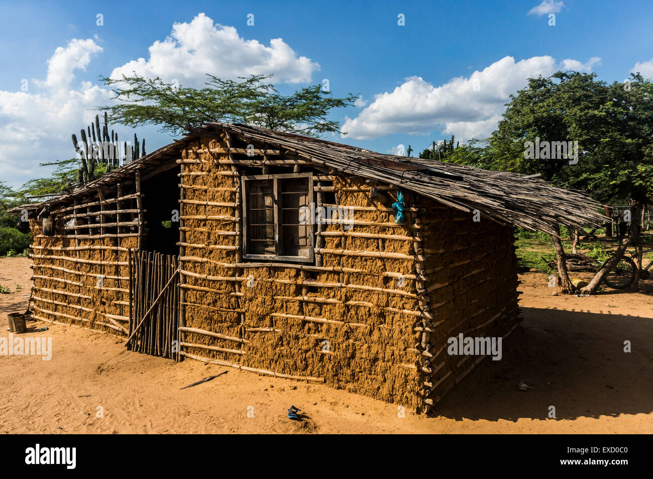 Traditional house made of cactus wood and earth in a Wayuu indigenous 'rancheria', or rural settlement, in La Guajira, Colombia. Stock Photo
