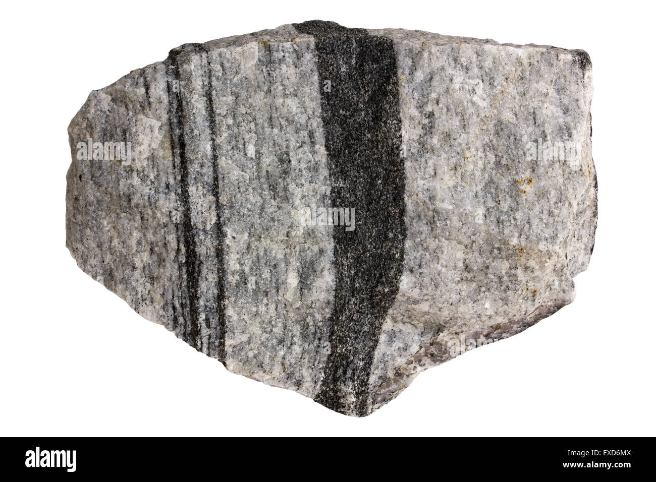 Amphibole gneiss (metamorphic rock) Stock Photo