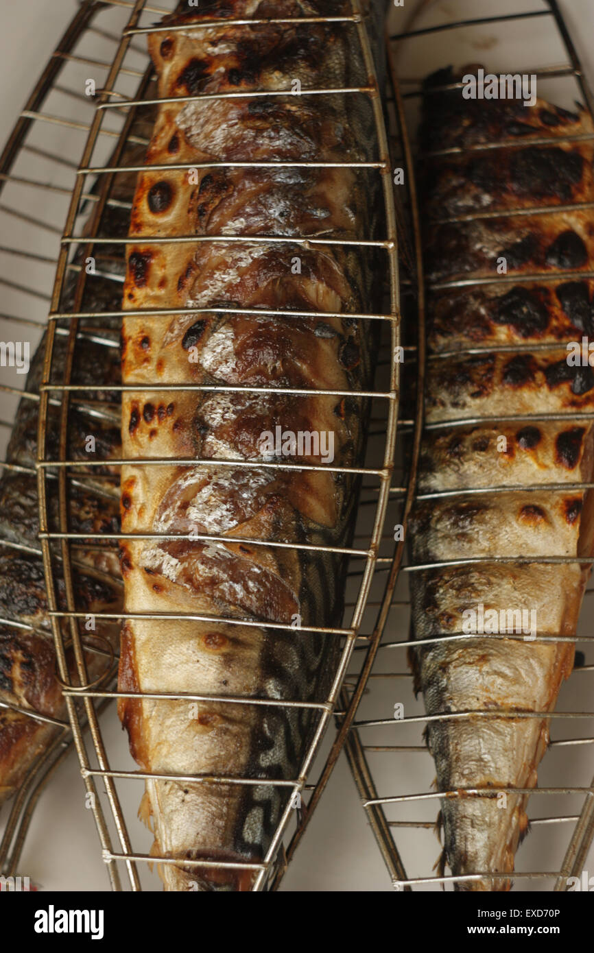 Barbecuing mackerel on charcoal fire closeup image Stock Photo Alamy