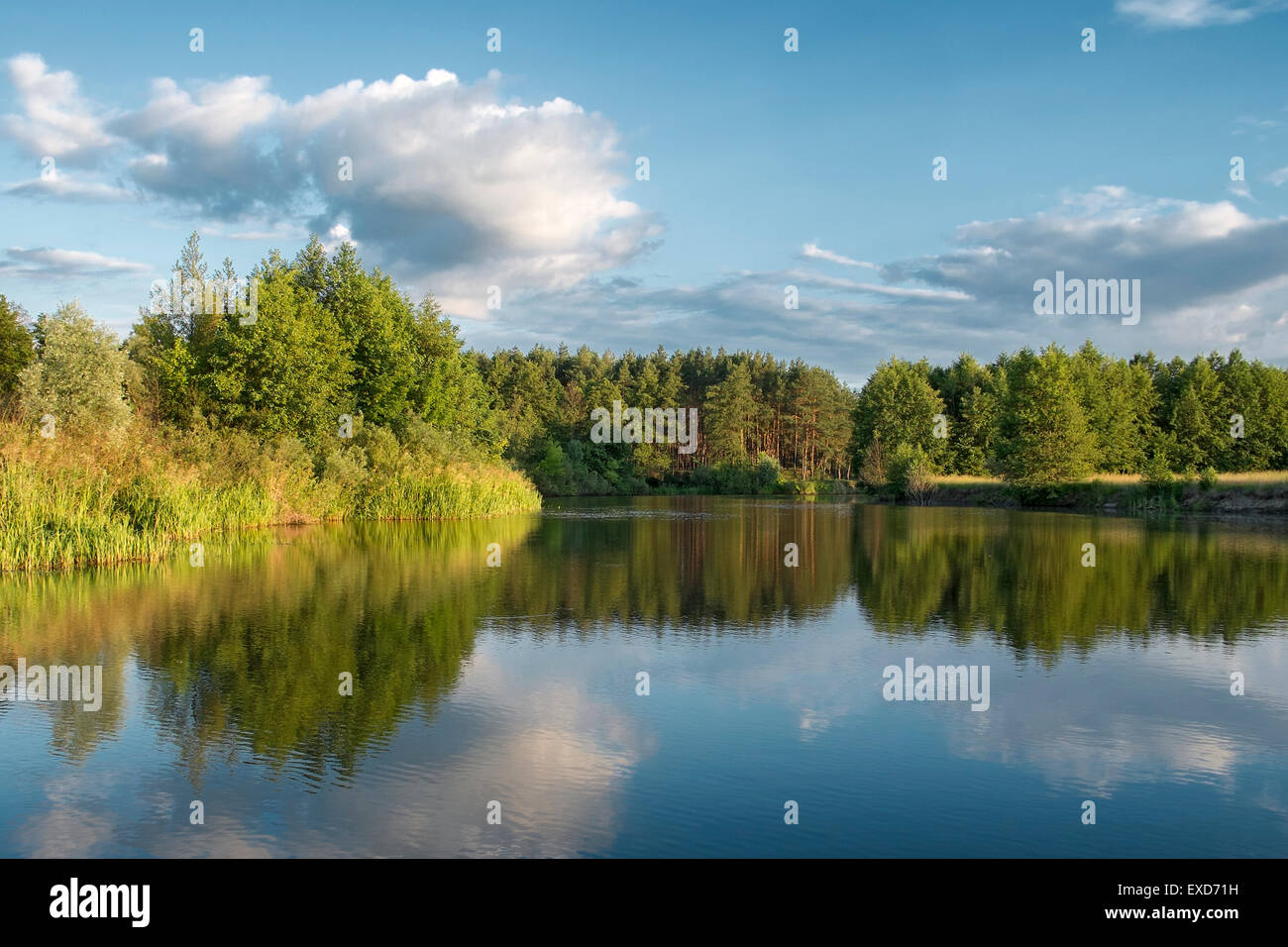 River, green forest and clouds in summer blue sky Stock Photo - Alamy