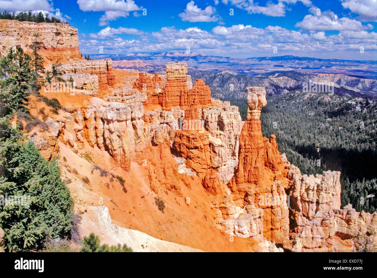 |Bryce Canyon National Park, Utah, view into canyon with Thor's hammer Stock Photo