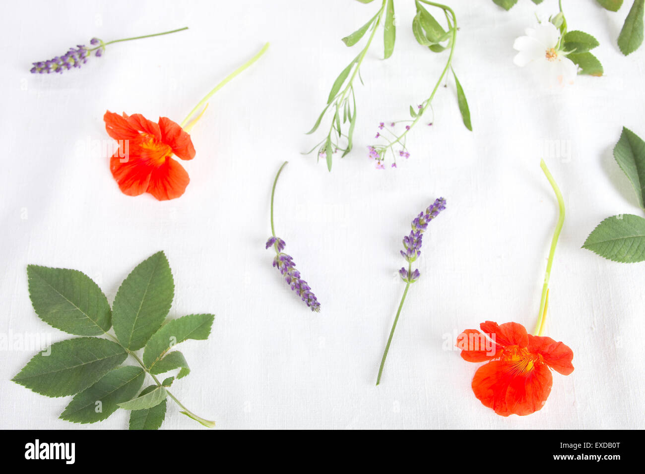 Edible flower garnish hires stock photography and images Alamy