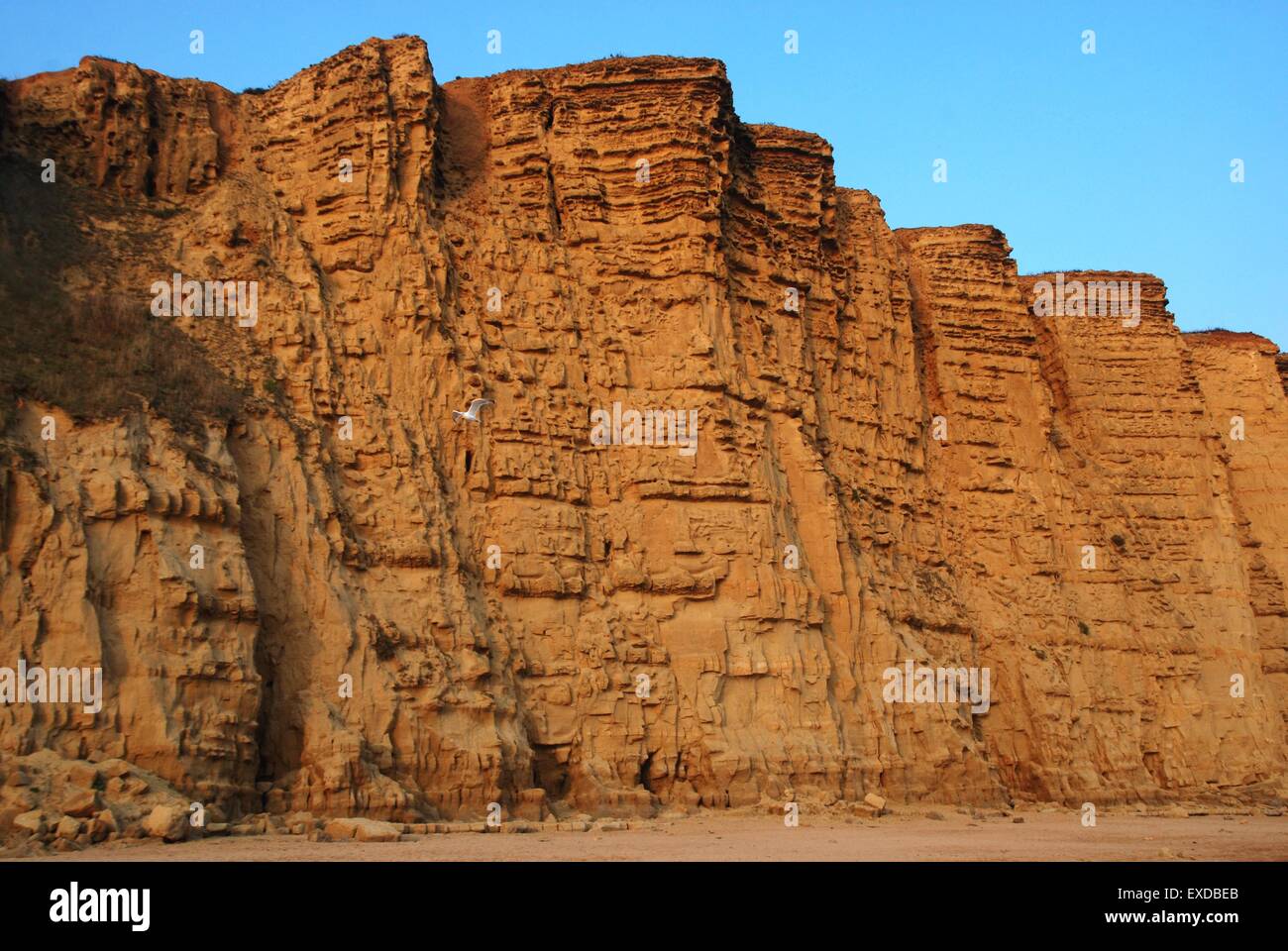 Steep sandstone cliffs of West Bay, Dorset, UK, part of the Jurassic coast of South coast of England. Site of the TV series Broadchuch. Stock Photo