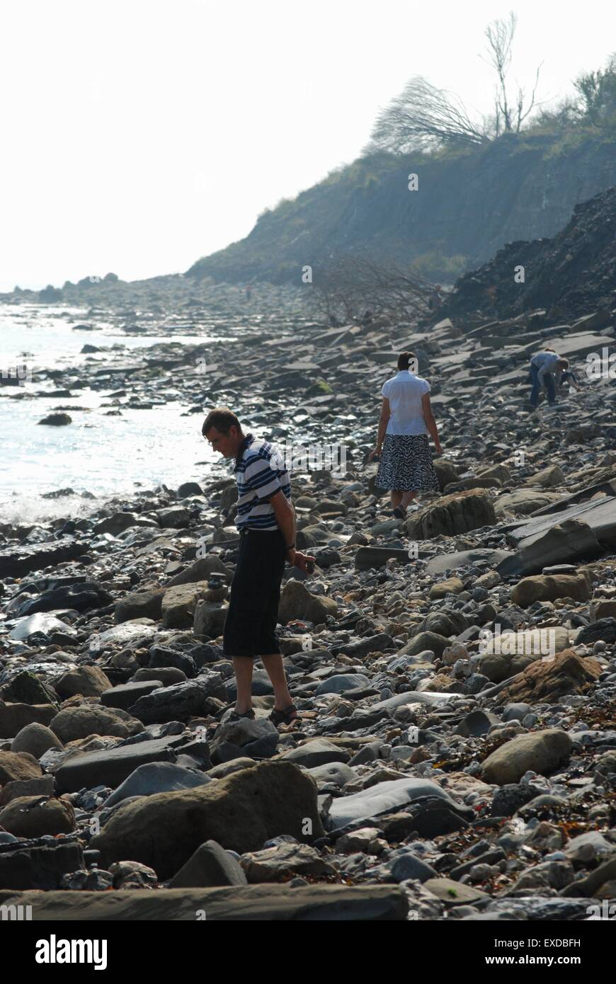 Jurassic coast dorset fossils hires stock photography and images Alamy