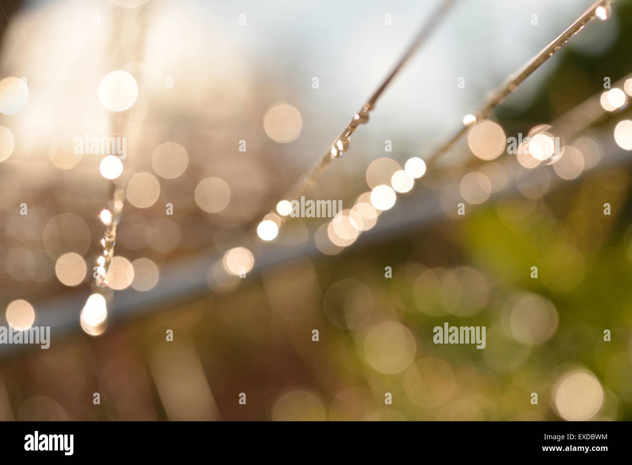 April Showers - raindrops sparkling on washing line Stock Photo