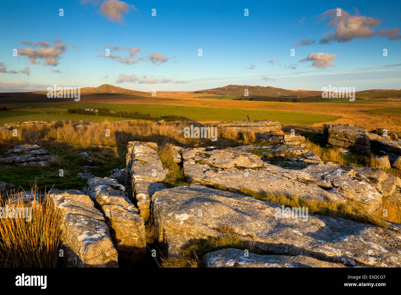 Rough Tor and Brown Willy From Alex Tor; Bodmin Moor; Cornwall; UK Stock Photo Alamy