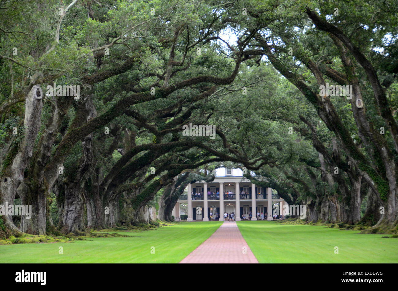 Oak Alley Plantation Stock Photo - Alamy