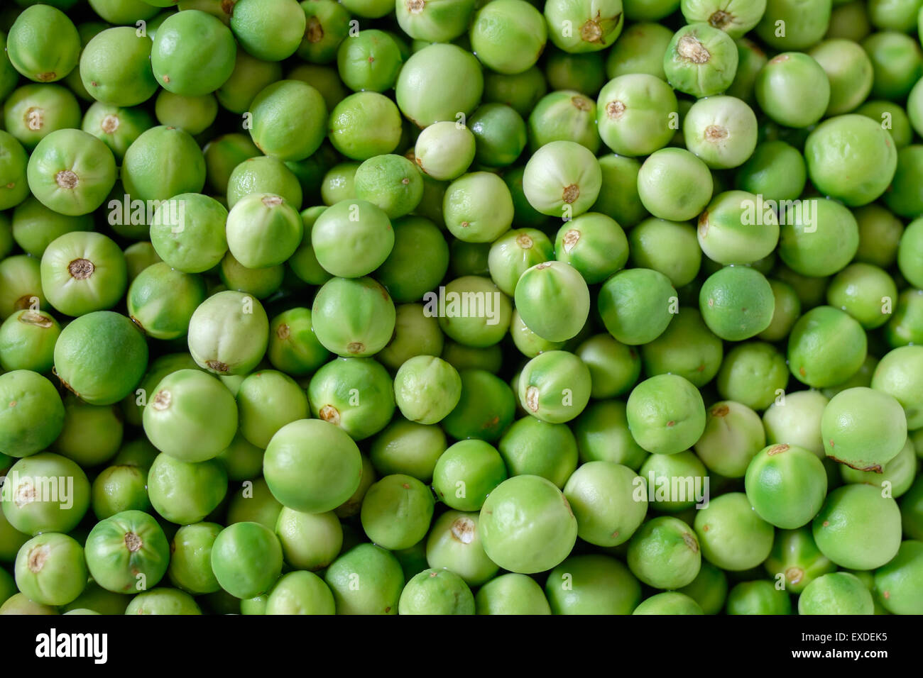 Pea eggplant background Stock Photo Alamy