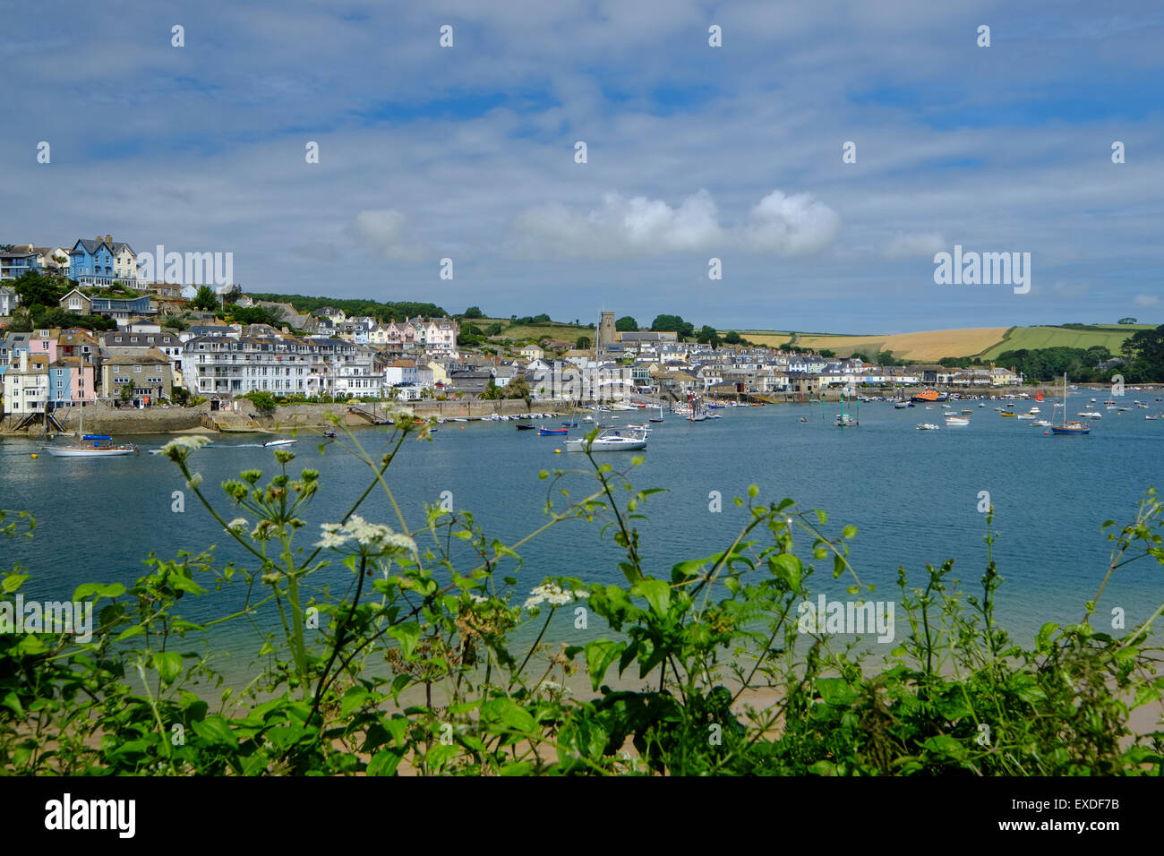 Devon, UK. view from East Portlemouth Stock Photo