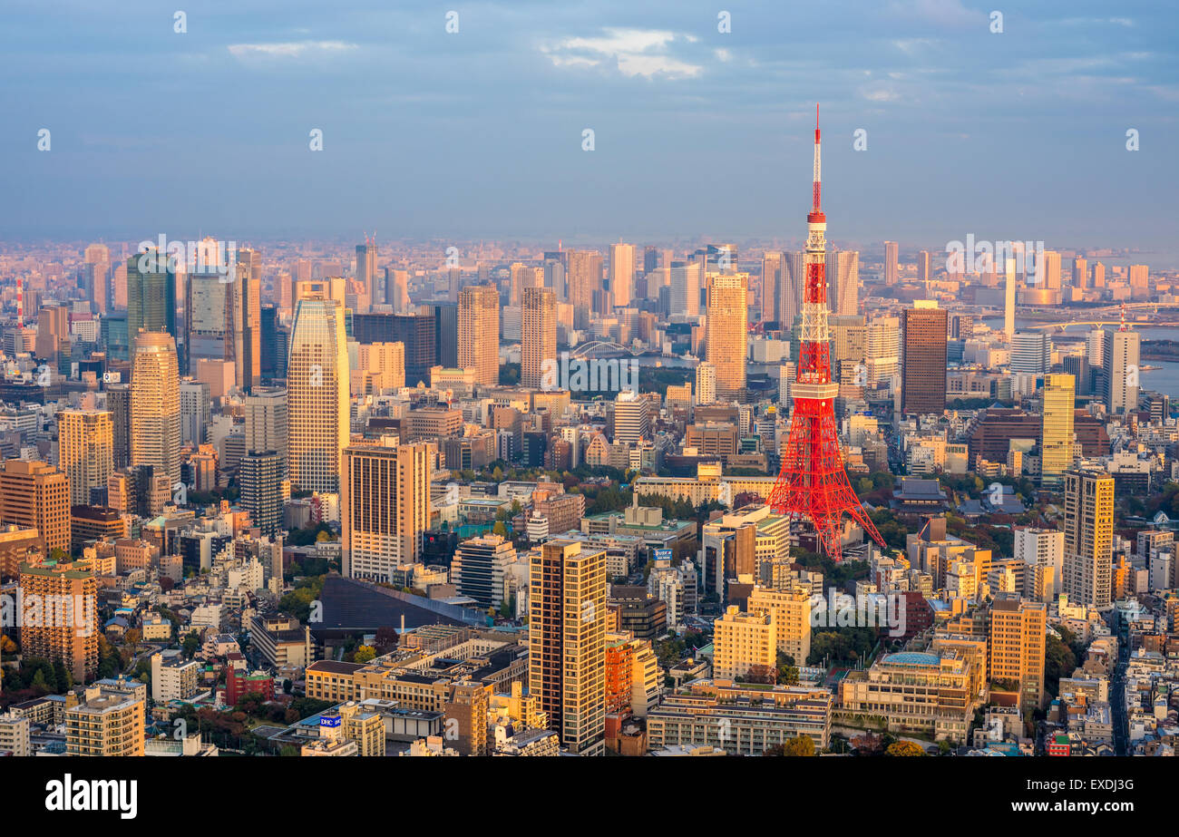 Tokyo aerial panoramic view Stock Photo