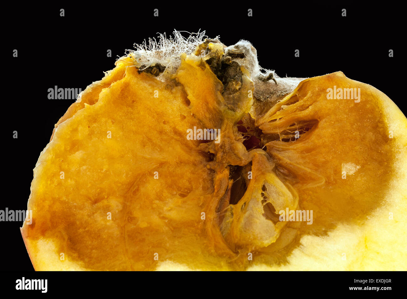 Close-up of rotting, cut apple isolated on black Stock Photo