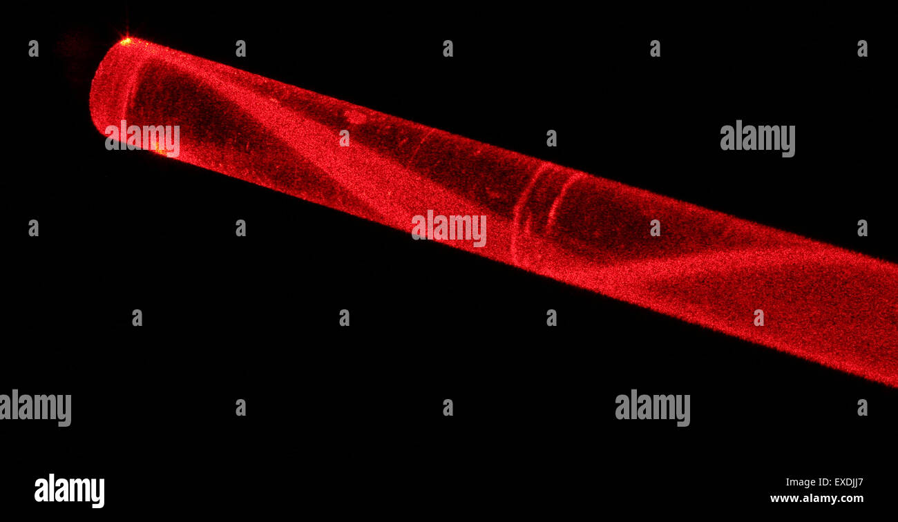 laserlight in glassfibre. Variable refractive index reduces loss of light. Stock Photo