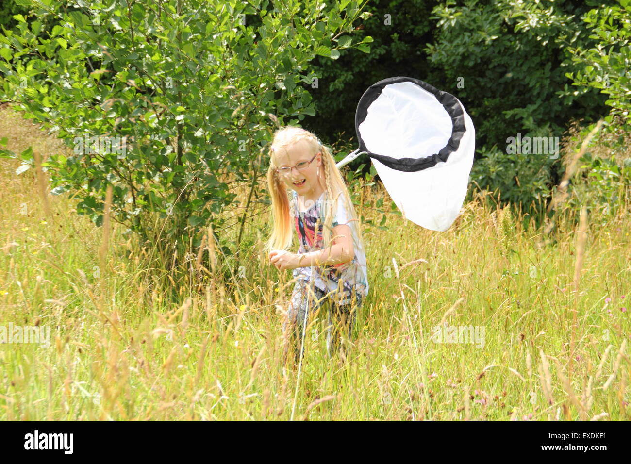 Shipley, Derbyshire, UK. 12 July 2015. Emily Taylor, 7, from Chaddesden, Derby chases bugs in grassland at Shipley Country Park, Derbyshire at an insect hunt led by Derbyshire and Nottinghamshire Entomological Society. Credit:  Deborah Vernon/Alamy Live News Stock Photo