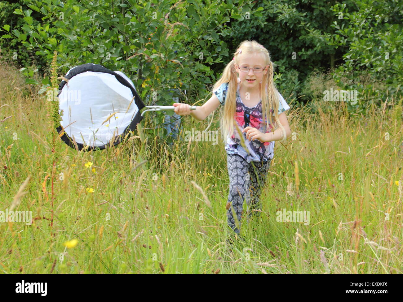Shipley, Derbyshire, UK. 12 July 2015. Emily Taylor, 7, from Chaddesden, Derby chases bugs in grassland at Shipley Country Park, Derbyshire at an insect hunt led by Derbyshire and Nottinghamshire Entomological Society. Credit:  Deborah Vernon/Alamy Live News Stock Photo