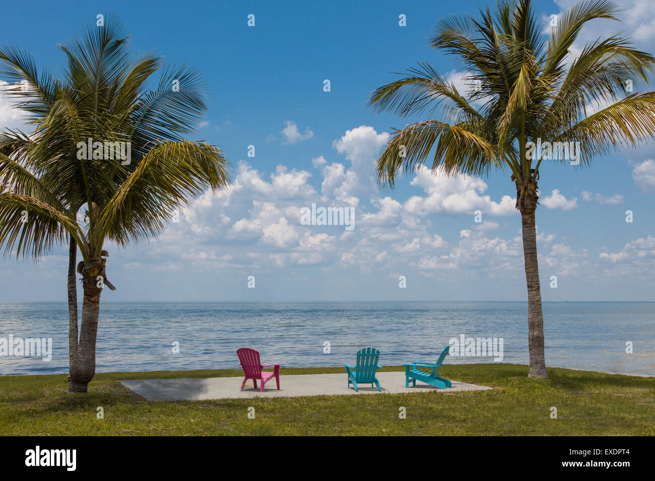 Palm trees and colorful chairs on Gulf of Mexico in  Bokeelia on Pine Island Florida Stock Photo