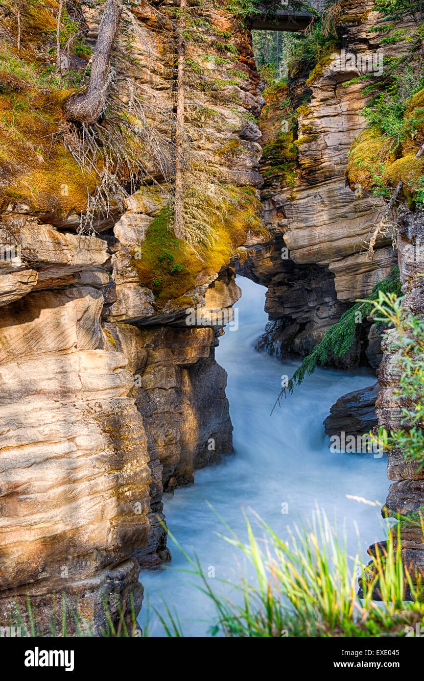 athabasca-falls-jasper-national-park-alberta-canada-stock-photo-alamy