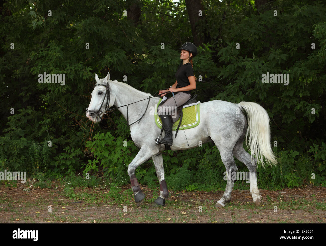 Young Dressage Lady Rider On Stock Photos & Young Dressage ... Young Dressage Lady