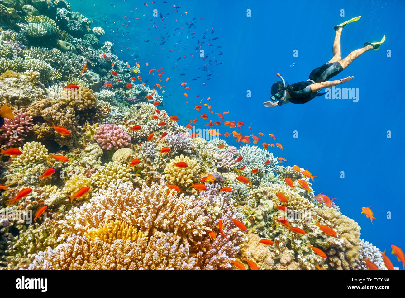 Red Sea, Egypt - woman snorkeling underwater, coral reef, Blue Hole near Dahab Stock Photo