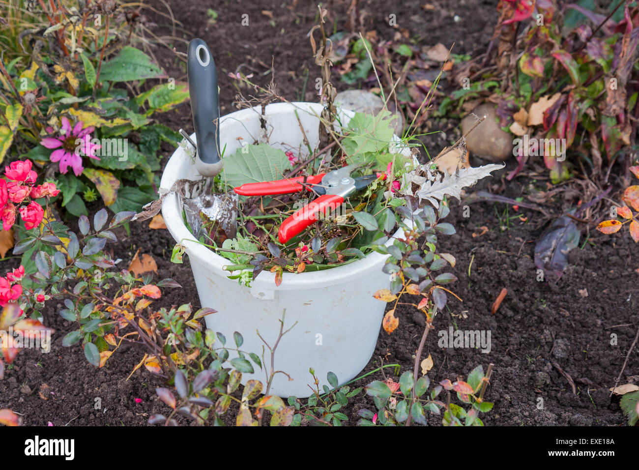 Plastic bucket with garden tools and garden waste Stock Photo Alamy
