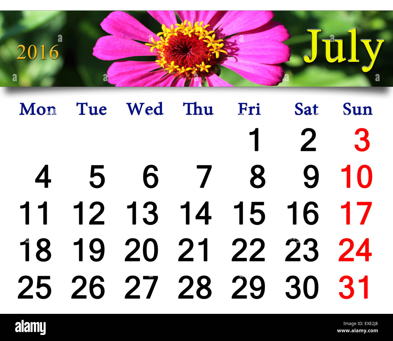 calendar for July 2016 with ribbon of red salvia Stock Photo
