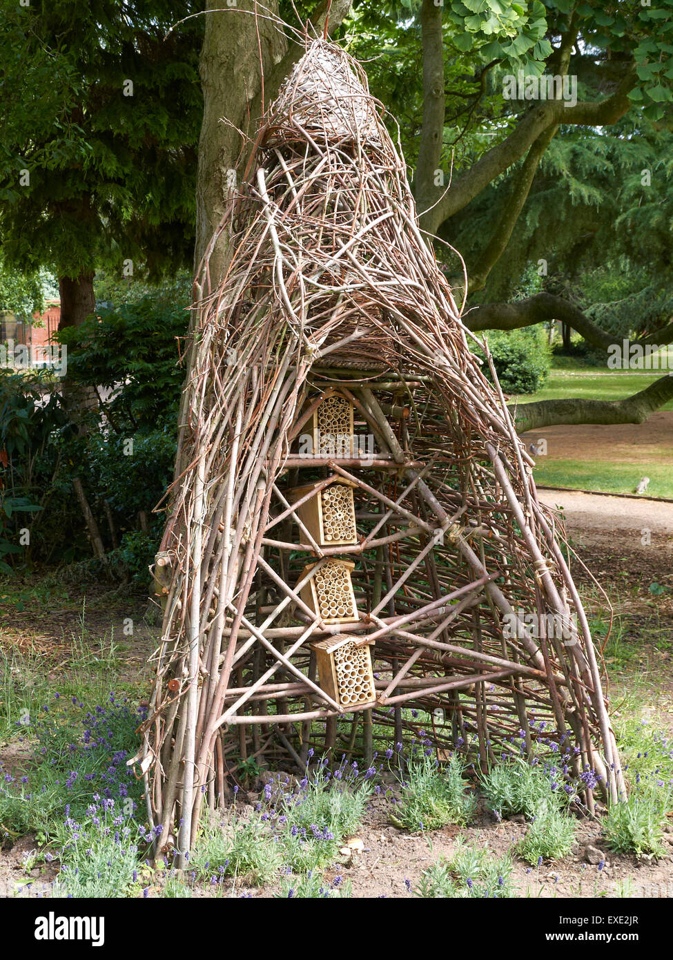 Insect hotel in Grosvenor Park Chester Cheshire UK Stock Photo