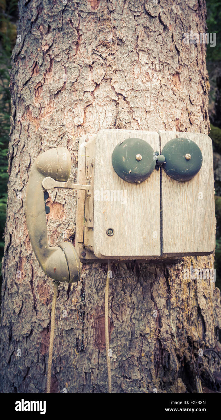Tree House Phone Old fashioned telephone on a tree with retro coloration Stock Photo - Alamy