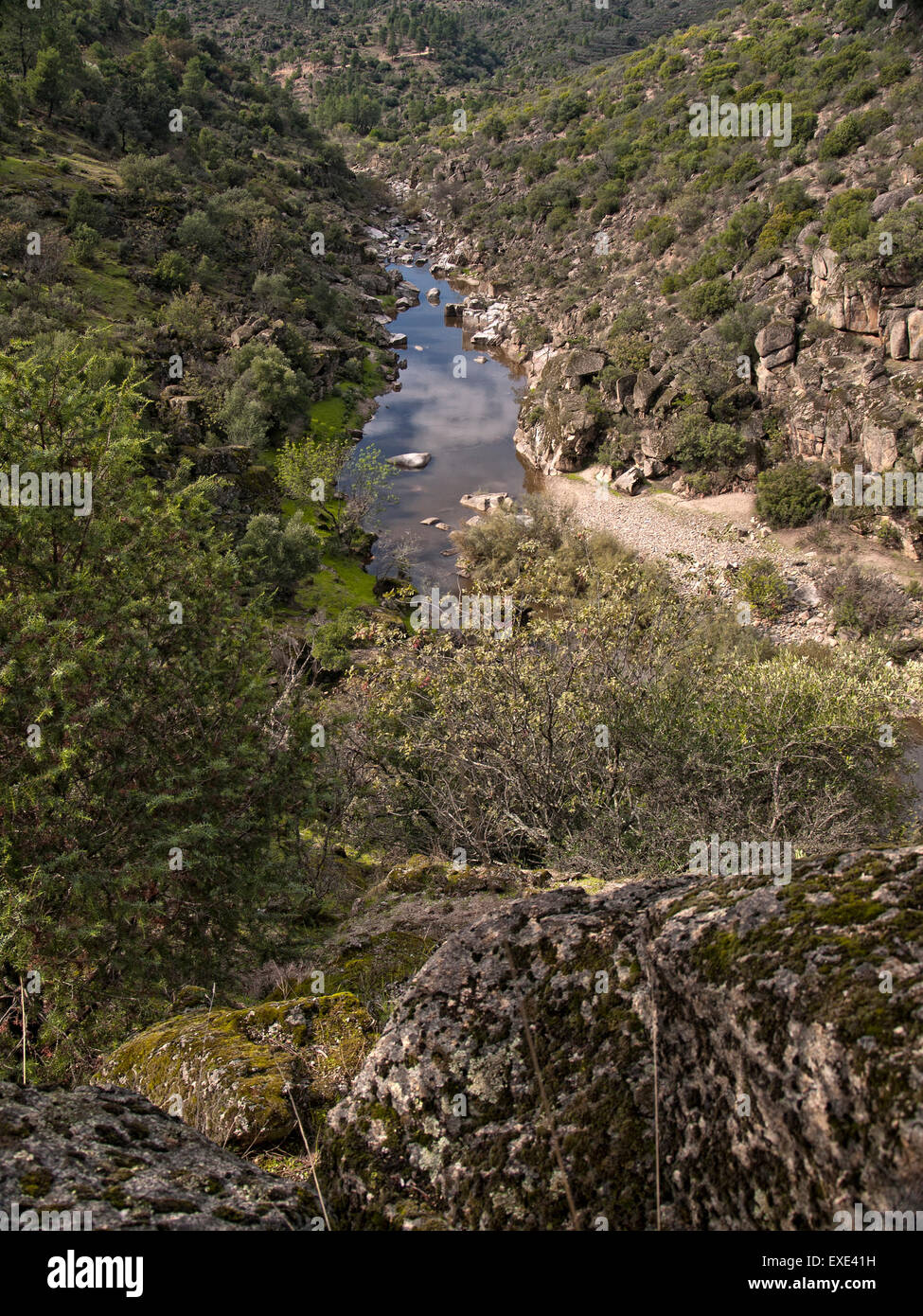 View of mediterranean scrub in Sierra de Cardeña-Montoro Natural Park. Andalusia. Spain. Stock Photo
