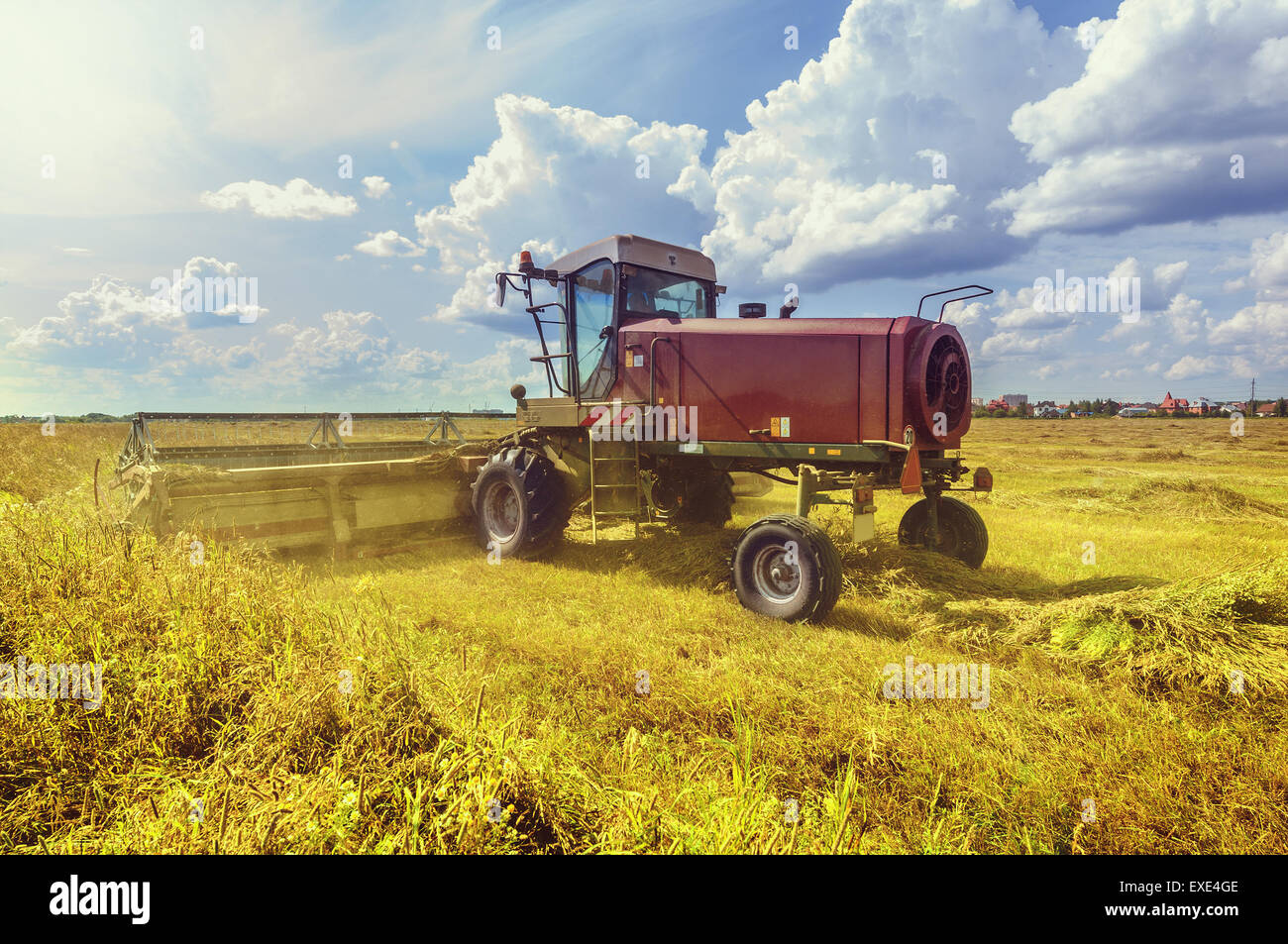 Harvester at work in the field in a hot summer day Stock Photo - Alamy