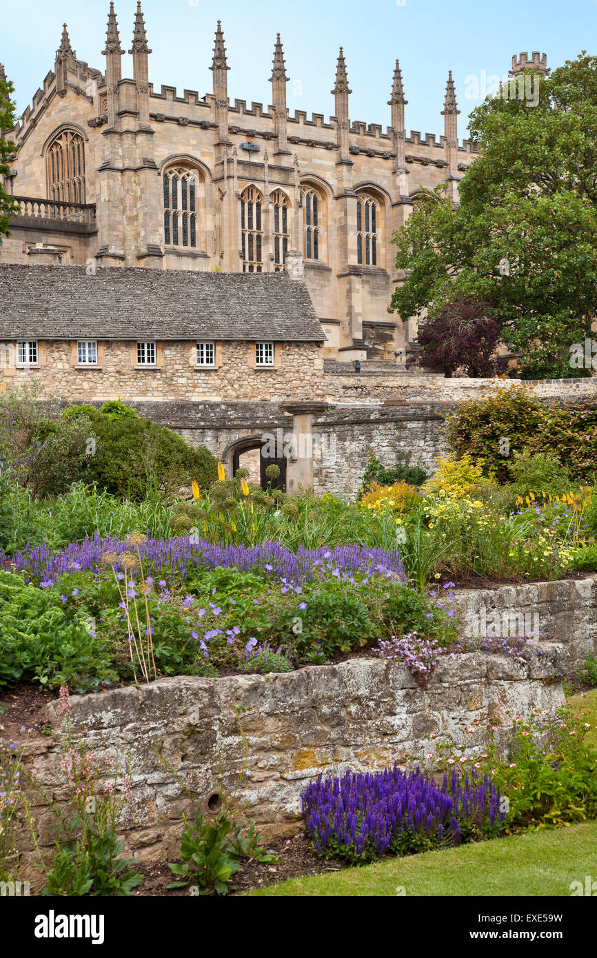 Tranquil garden wall scene, flowering borders, Christchurch, Oxford, UK, summer Stock Photo