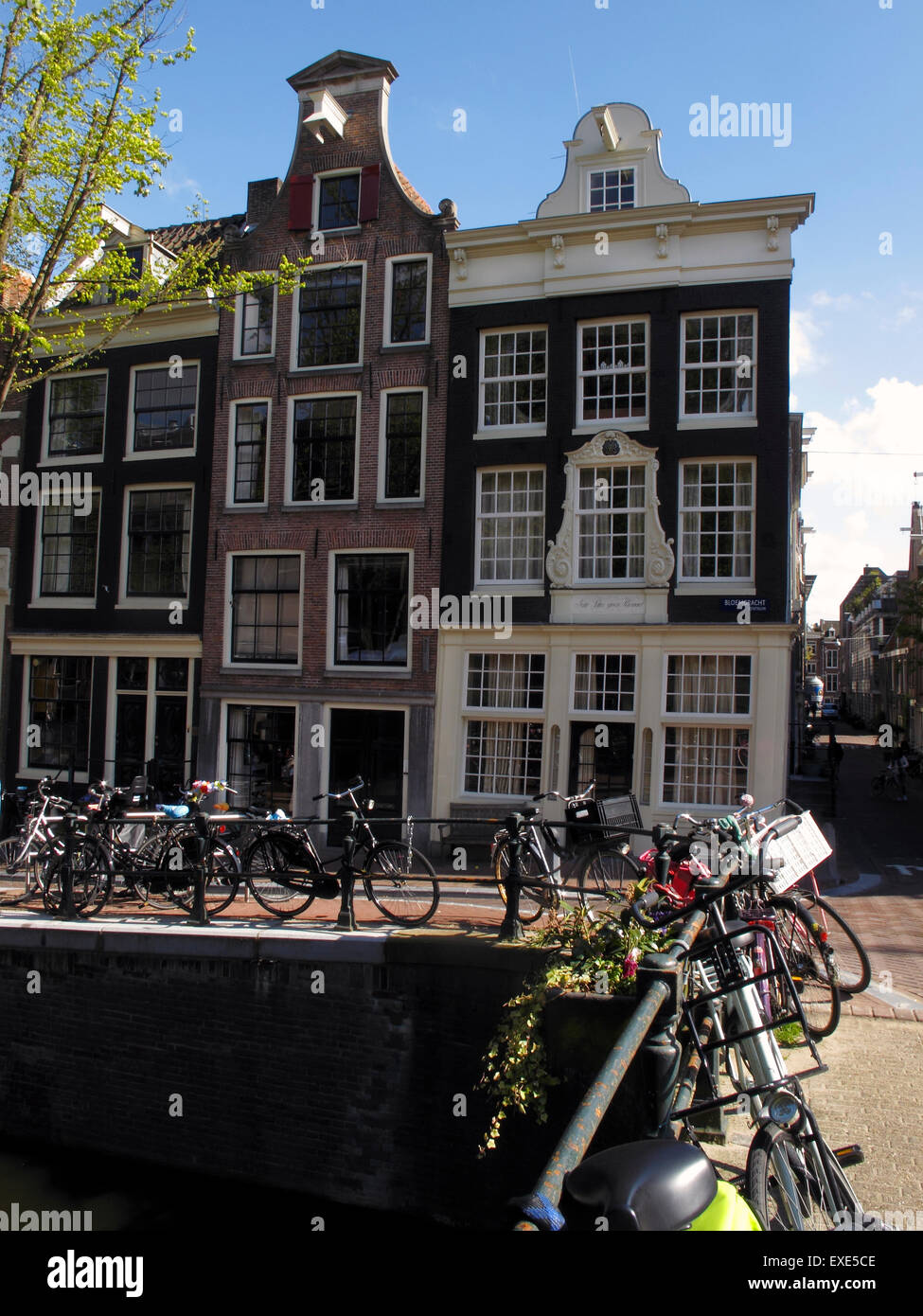 Houses on the Bloemgracht, Jordaan, Amsterdam, Netherlands Stock Photo Alamy