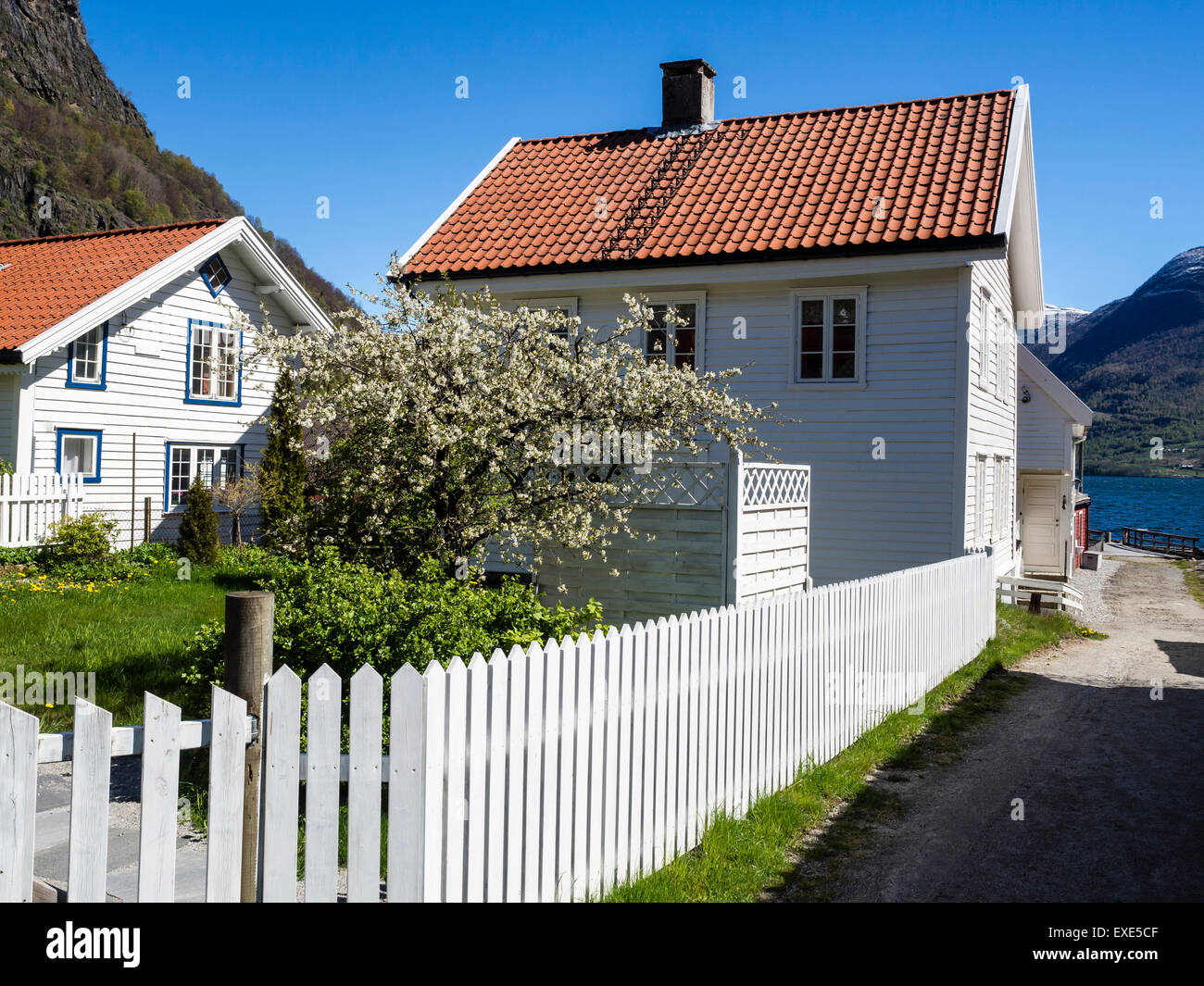 Village Solvorn, at the Lustrafjord, inner branch of Sognefjord,typical