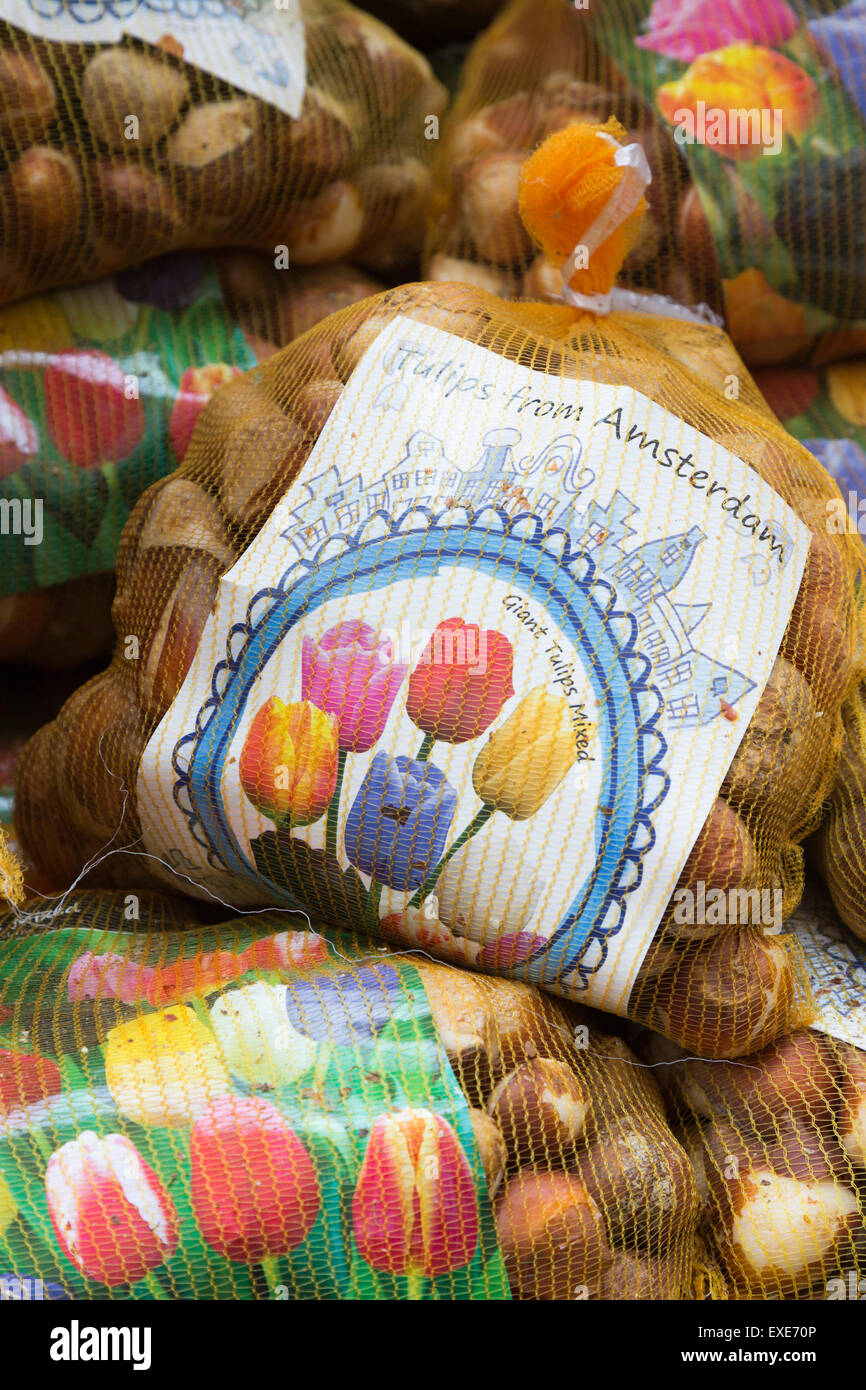 Tulip bulbs on sale in bags at the Bloemenmarkt, Flower Market