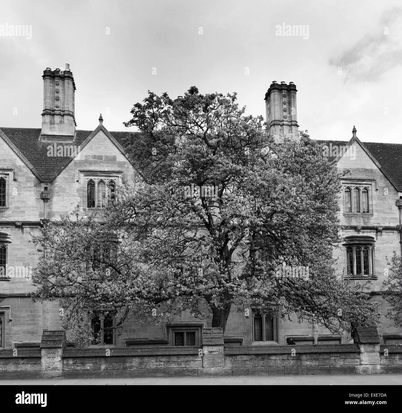 Oxford University College England Stock Photo Alamy