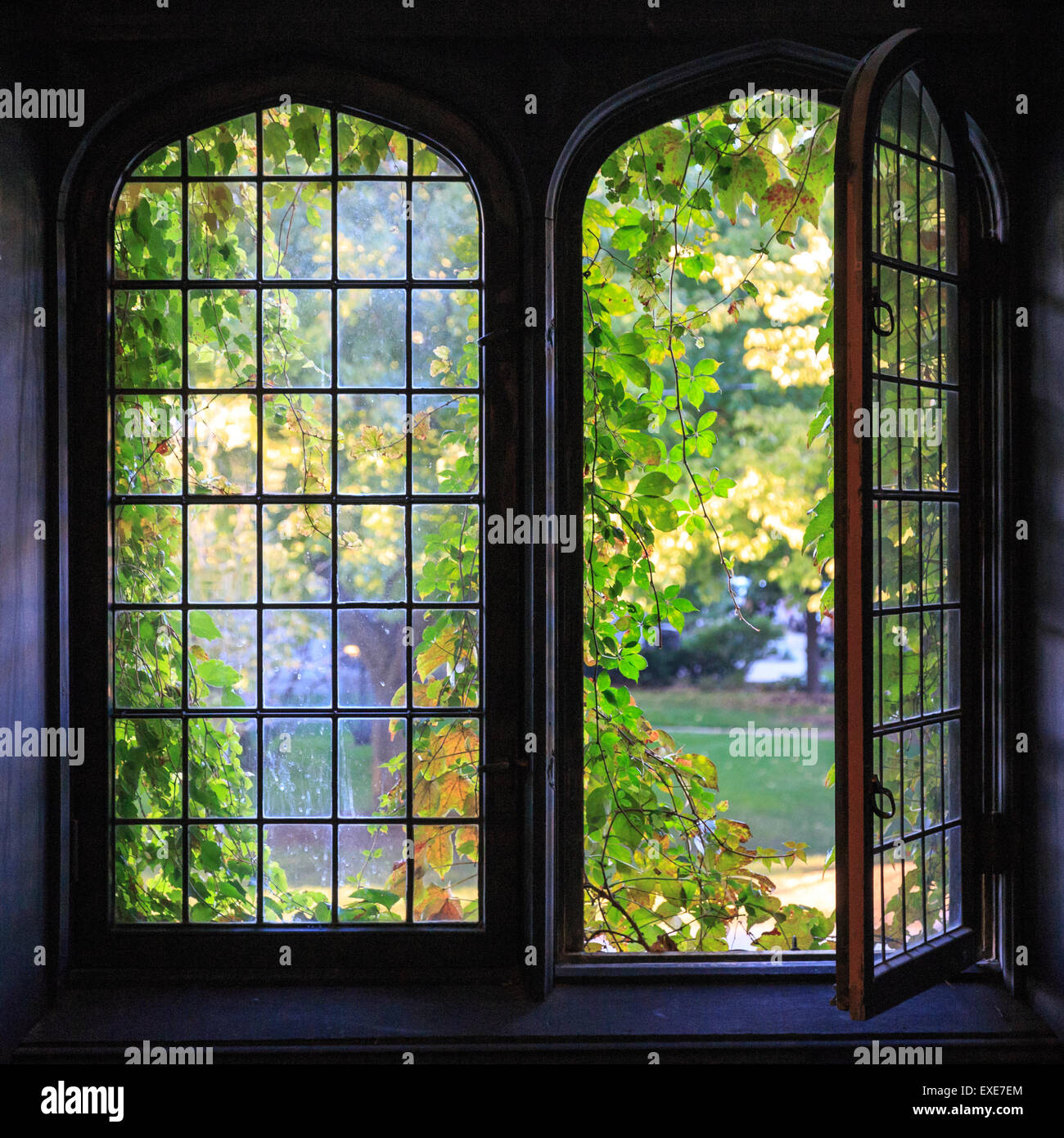 Light spills through a half-open window at a university building in Chicago, IL, USA in early Fall 2014. Stock Photo