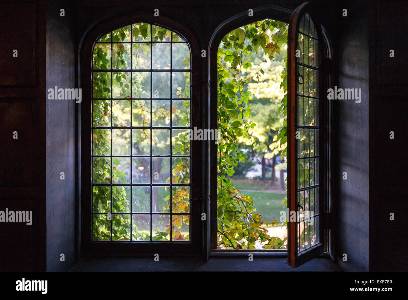 Light spills through a half-open window at a university building in Chicago, IL, USA in early Fall 2014. Stock Photo