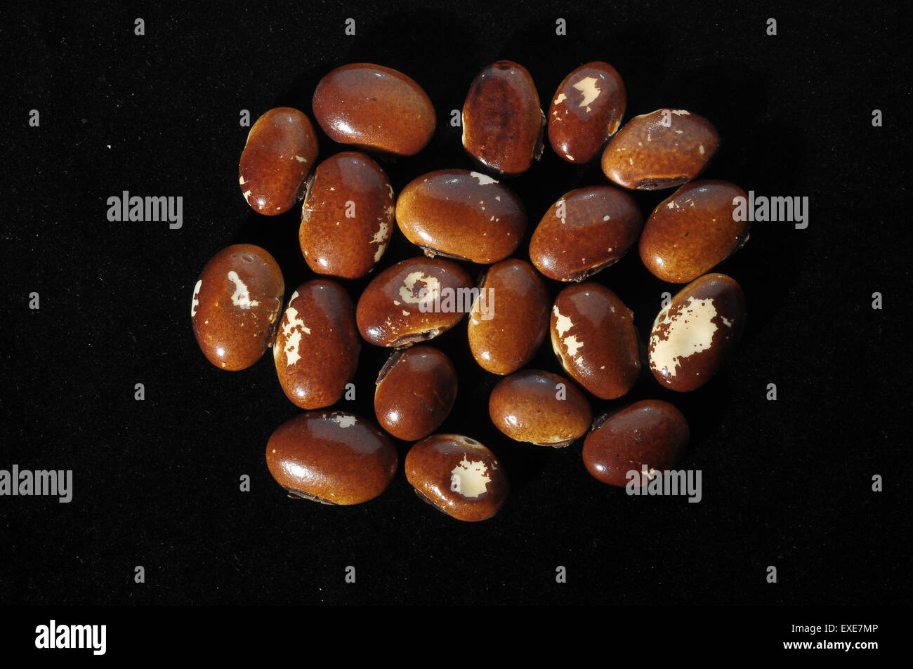 Colored Round Seeds Stock Photo