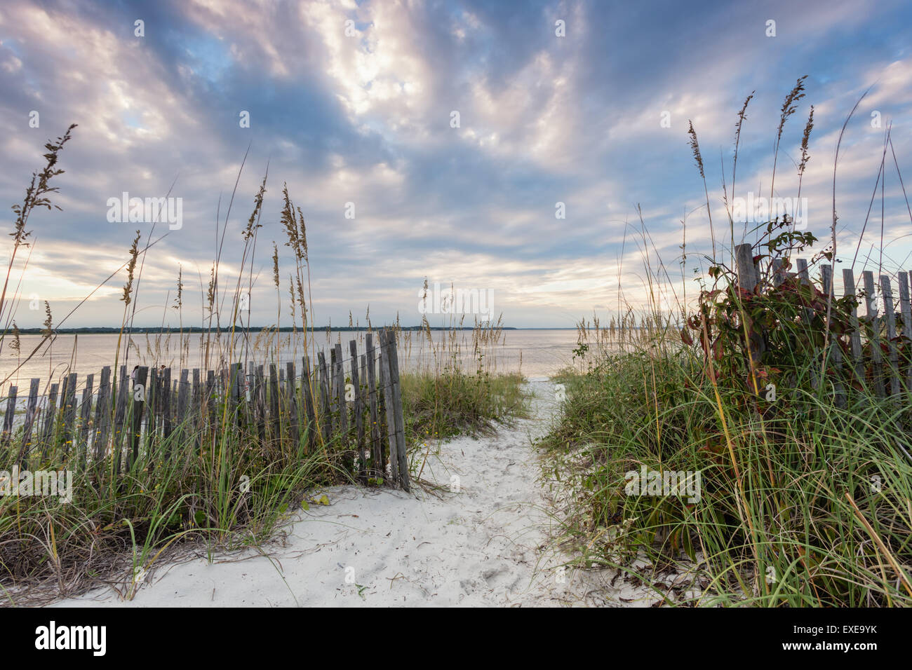 Sea oat lined dune pathway leading to the Amelia River on the South End of Amelia Island, Florida. Stock Photo